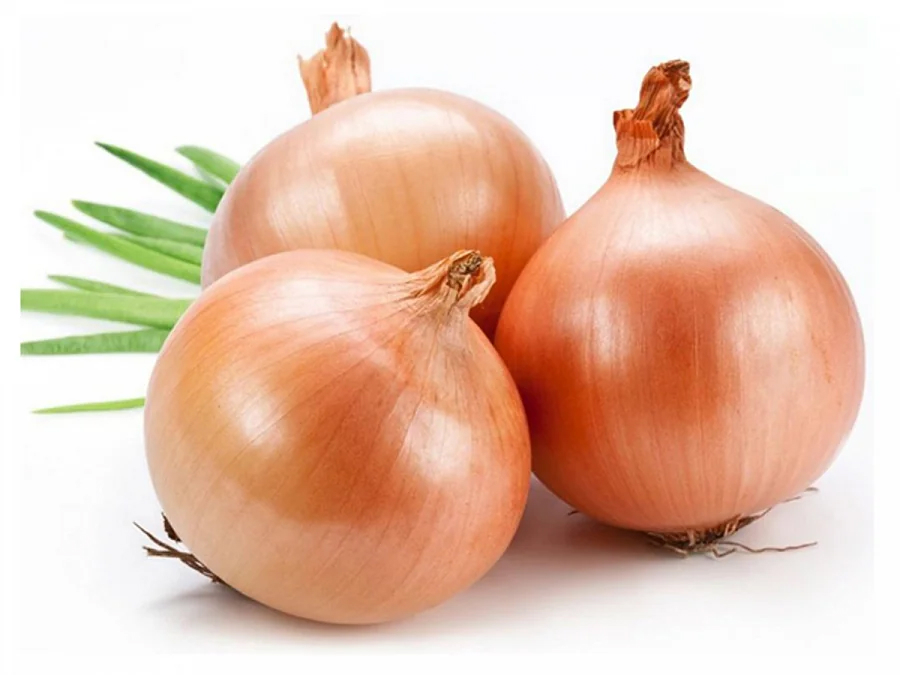 Лук